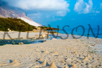 Travel to Socotra Island