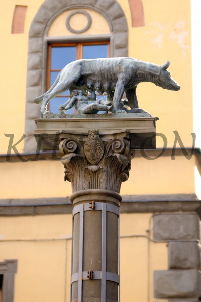 The symbol of Rome