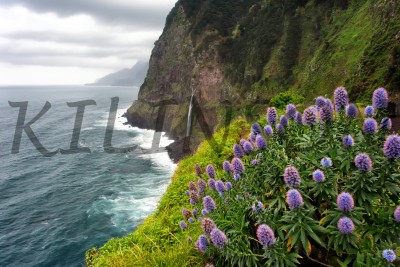 Природа Мадейры, Nature of Madeira