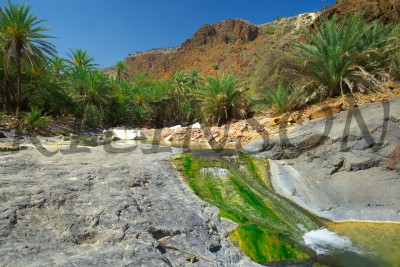 Wadi Derhur Socotra